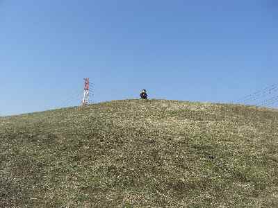 �V���[�x�b�g�̂�����