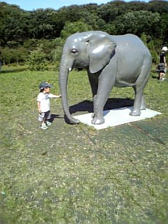 �V���[�x�b�g�̂�����