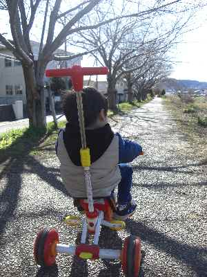 �V���[�x�b�g�̂�����