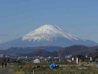 �V���[�x�b�g�̂�����