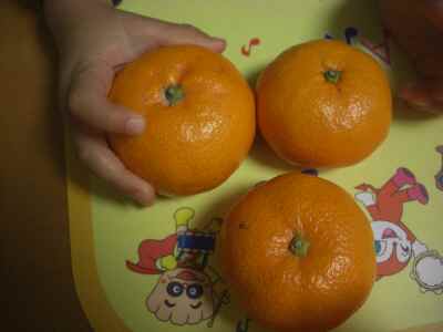 �V���[�x�b�g�̂�����