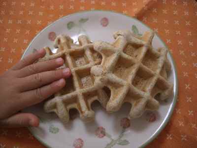 �V���[�x�b�g�̂�����