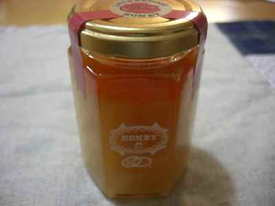 �V���[�x�b�g�̂�����