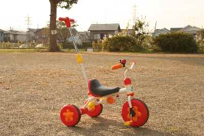 �V���[�x�b�g�̂�����