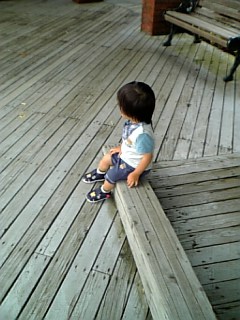 �V���[�x�b�g�̂�����