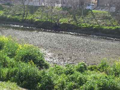 �V���[�x�b�g�̂�����