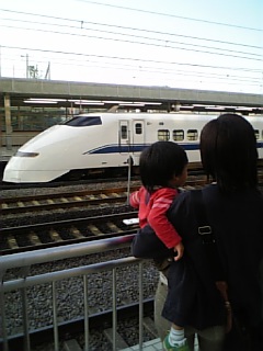 �V���[�x�b�g�̂�����