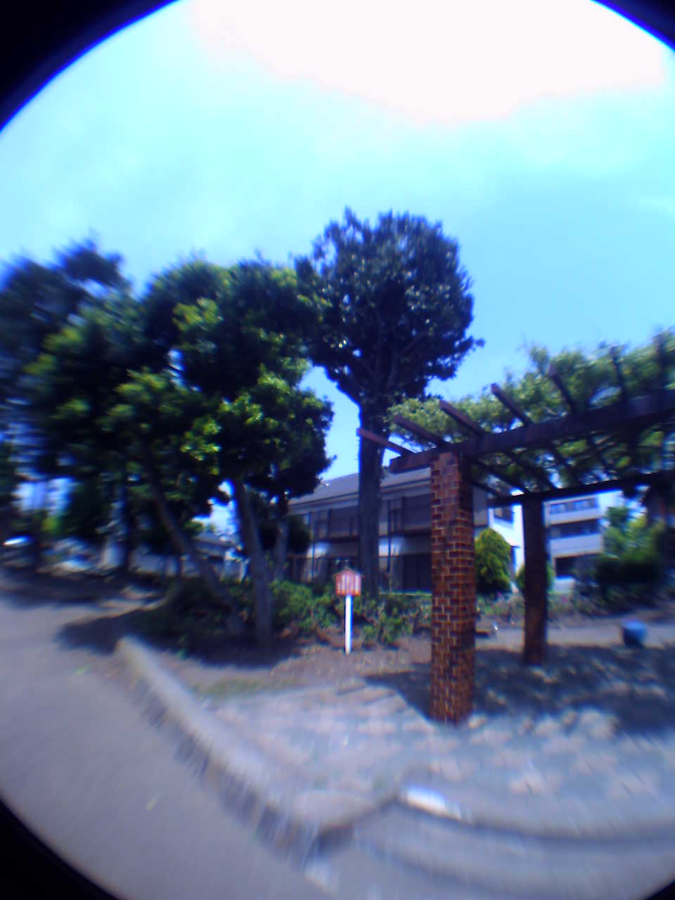 �`�����X�i�@�Ђ��