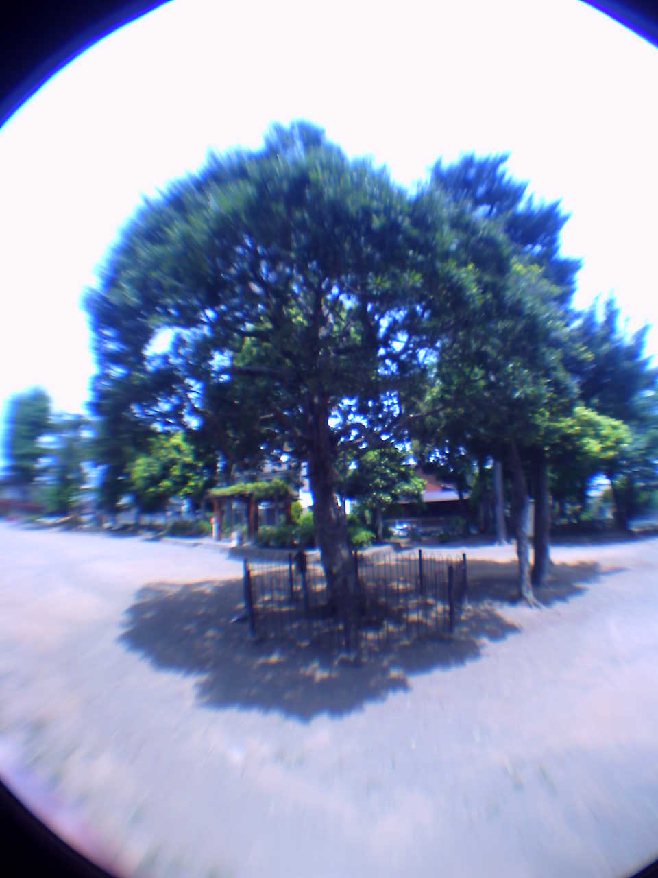 �`�����X�i�@�Ђ��