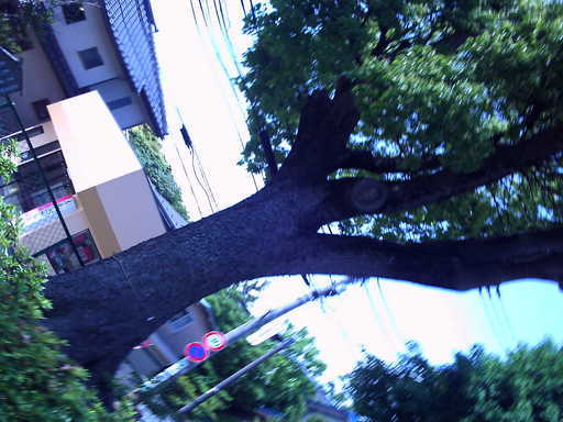 �`�����X�i�@�Ђ��