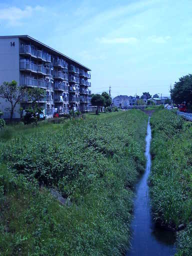 �`�����X�i�@�Ђ��