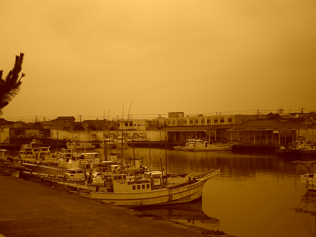 �`�����X�i�@�Ђ��