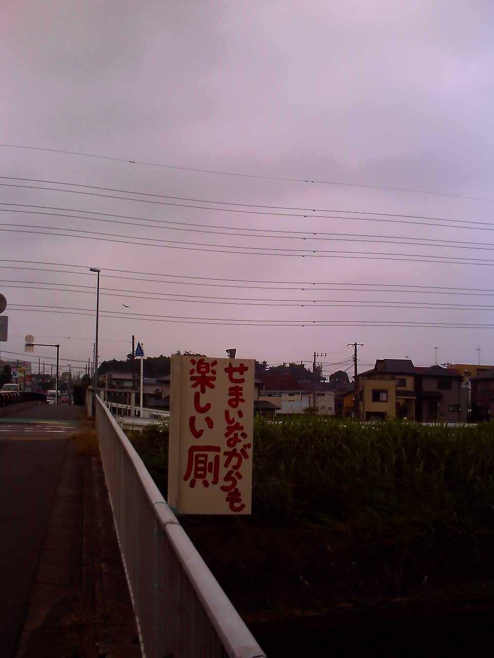 �`�����X�i�@�Ђ��