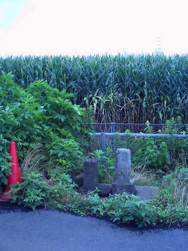 �`�����X�i�@�Ђ��