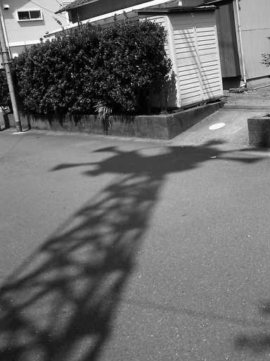 �`�����X�i�@�Ђ��