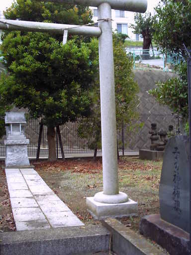 �`�����X�i�@�Ђ��