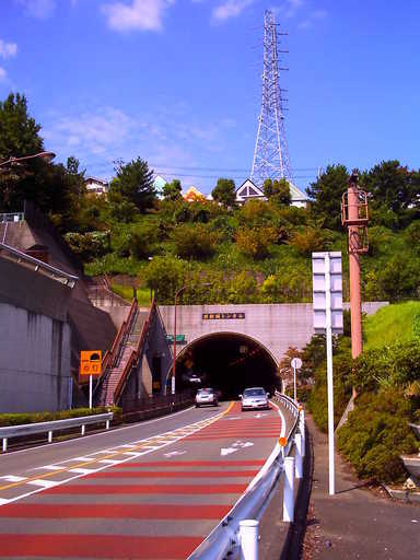 �`�����X�i�@�Ђ��