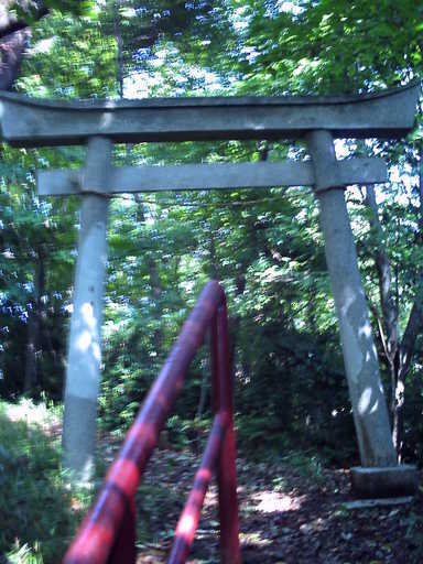 �`�����X�i�@�Ђ��