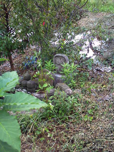 �`�����X�i�@�Ђ��