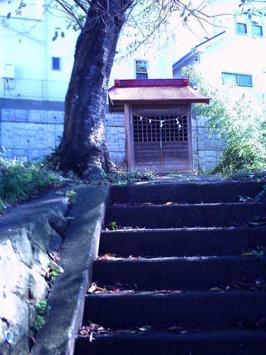 �`�����X�i�@�Ђ��