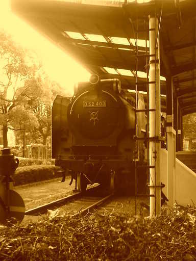 �`�����X�i�@�Ђ��