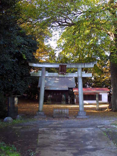 �`�����X�i�@�Ђ��