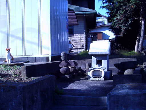 �`�����X�i�@�Ђ��