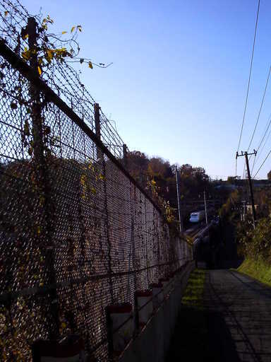 �`�����X�i�@�Ђ��