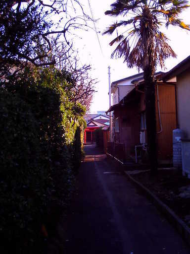 �`�����X�i�@�Ђ��