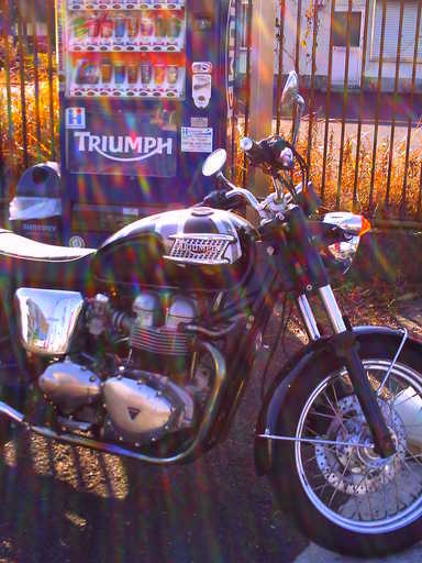 �`�����X�i�@�Ђ��