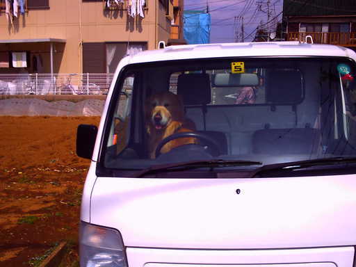 �`�����X�i�@�Ђ��