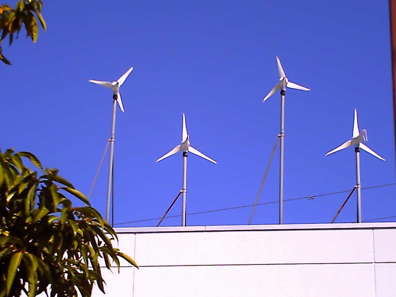 �`�����X�i�@�Ђ��