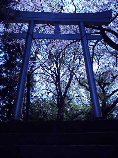 �`�����X�i�@�Ђ��