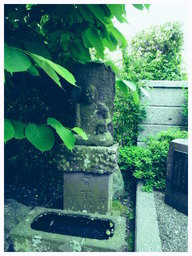 �`�����X�i�@�Ђ��