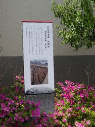 �`�����X�i�@�Ђ��