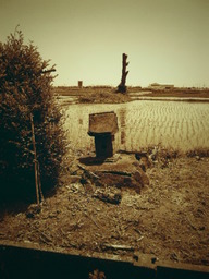 �`�����X�i�@�Ђ��