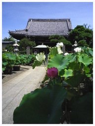 �`�����X�i�@�Ђ��