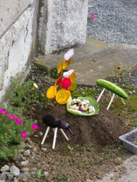 �`�����X�i�@�Ђ��