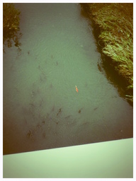 �`�����X�i�@�Ђ��