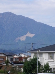 �`�����X�i�@�Ђ��