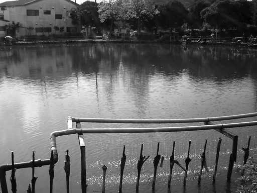 �`�����X�i�@�Ђ��