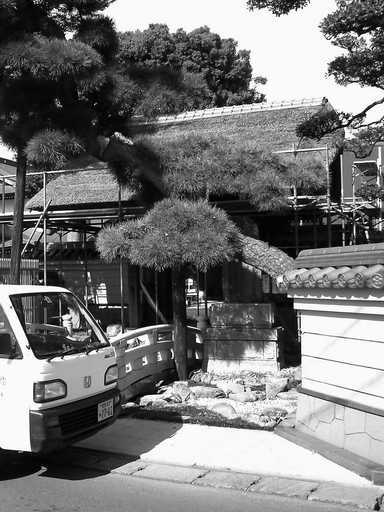 �`�����X�i�@�Ђ��