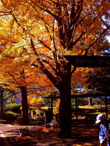 �`�����X�i�@�Ђ��