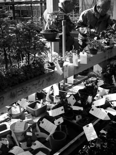 �`�����X�i�@�Ђ��