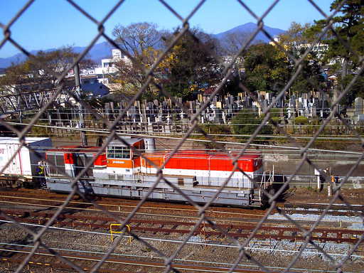 �`�����X�i�@�Ђ��