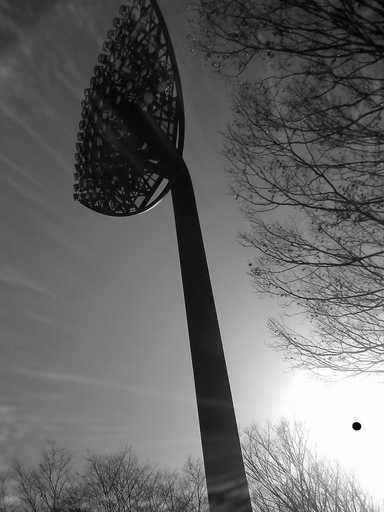 �`�����X�i�@�Ђ��