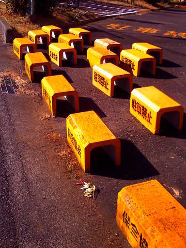 �`�����X�i�@�Ђ��