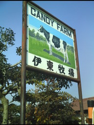 �`�����X�i�@�Ђ��