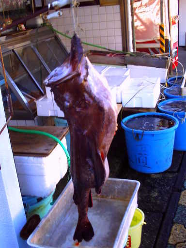 �`�����X�i�@�Ђ��