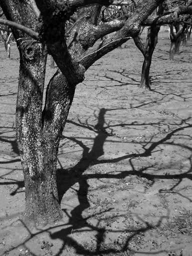 �`�����X�i�@�Ђ��